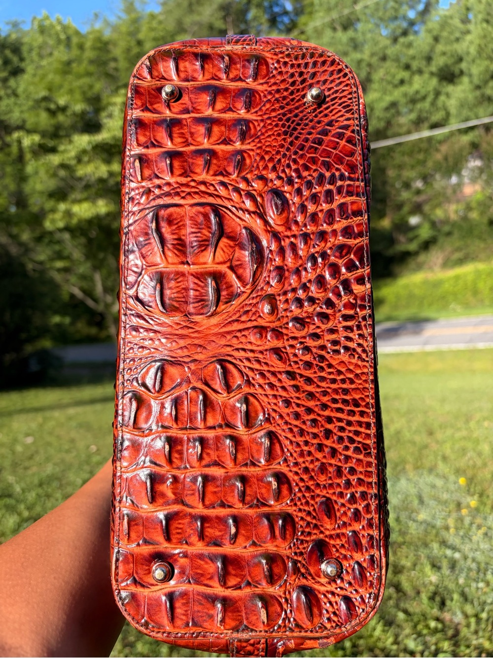 Brahmin Pecan Asher
Croc-Embossed Leather Tote Bag - Picture 8 of 11